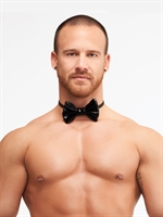Mr Riegillio PVC Bow Tie